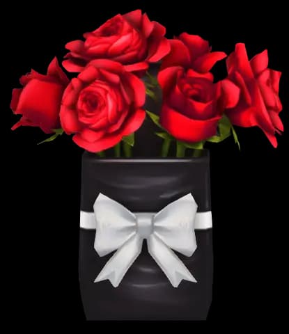 Schwarze Satteltasche