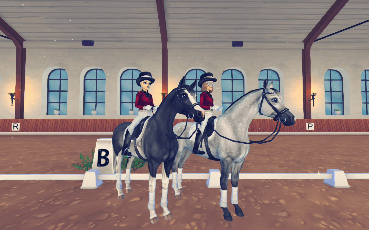 Gewinner unseres Winter-Dressurturniers