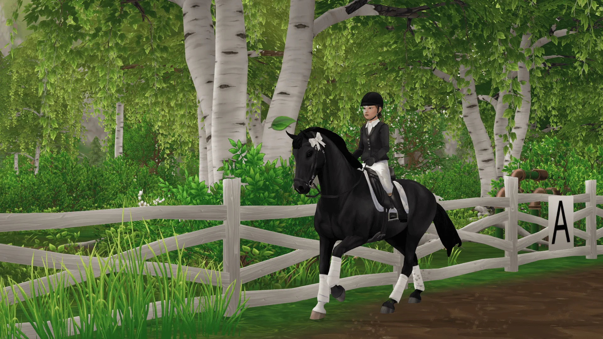 Bella wird zum Meister! 🏅